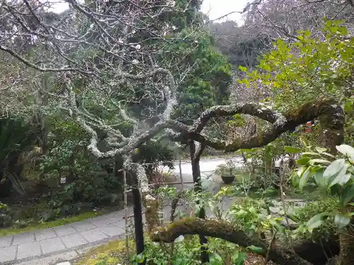 光則寺の庭園