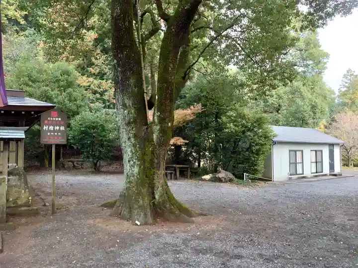 村檜神社の自然