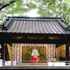 戸越八幡神社の神楽