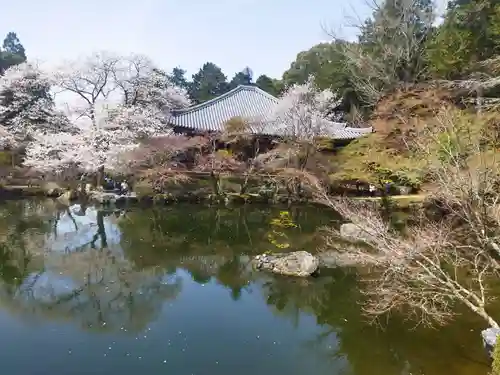 醍醐寺(京都府)