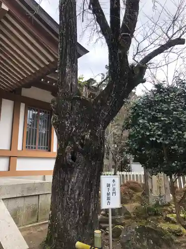 多田神社の自然