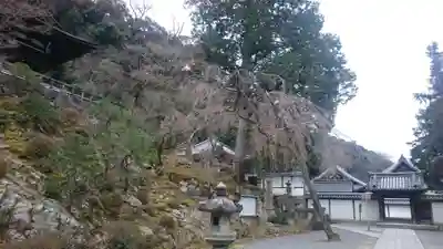 知恩院のその他建物