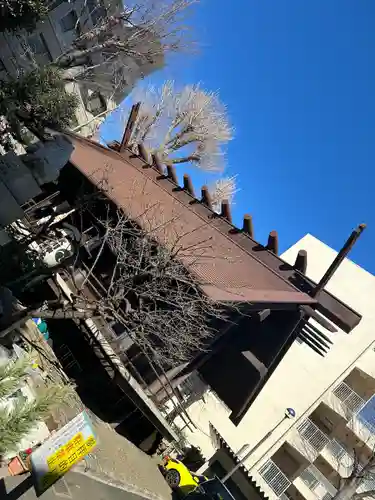 高円寺氷川神社(東京都)