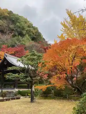 三室戸寺(京都府)