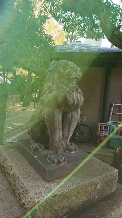 鳩森八幡神社の狛犬