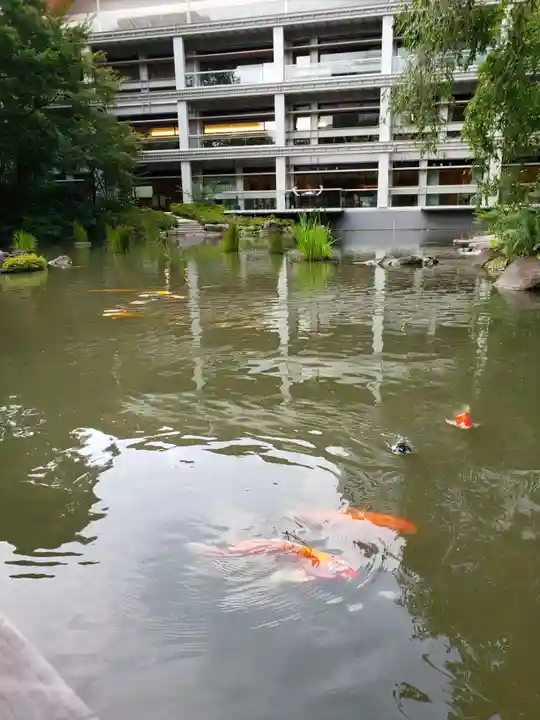 東郷神社(東京都)