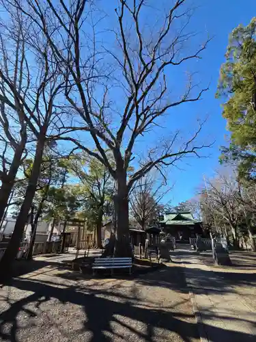 小杉神社(神奈川県)