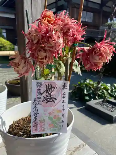 妙蓮寺(神奈川県)