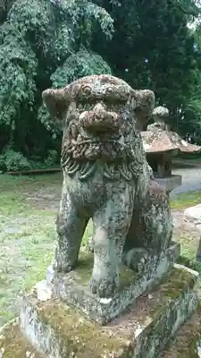 斗藏寺の狛犬