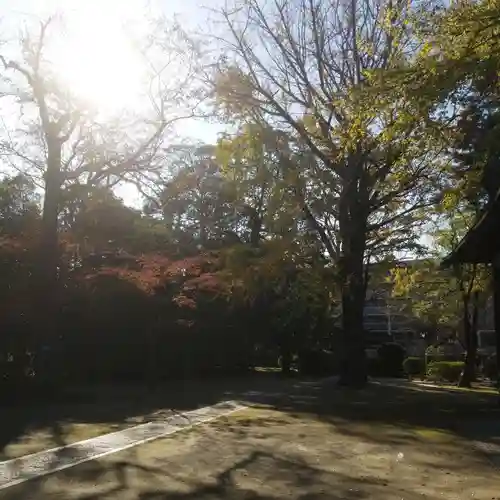 春日神社の庭園