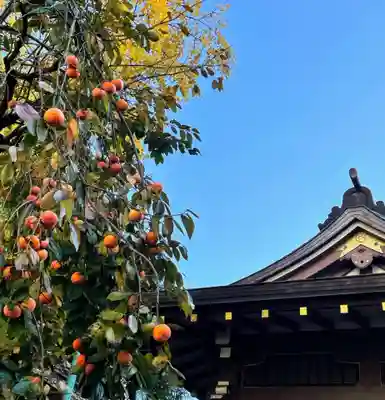 鳥越神社(東京都)
