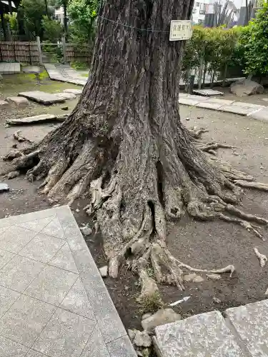 寶蔵院(東京都)