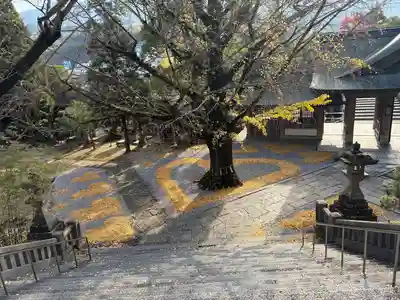 和霊神社(愛媛県)