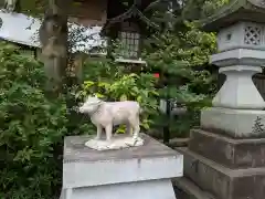 比々多神社の狛犬