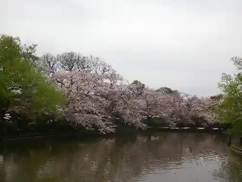 鶴岡八幡宮の庭園