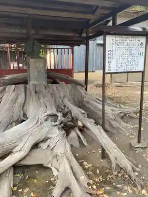 八坂神社(群馬県)