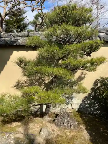 大光院(京都府)