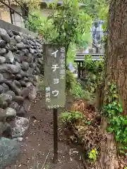 陽林寺の建物その他