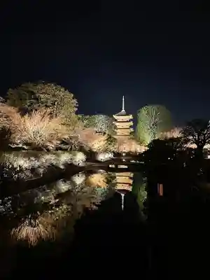 東寺（教王護国寺）(京都府)