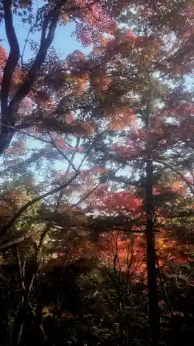 岐阜稲荷山本社の自然