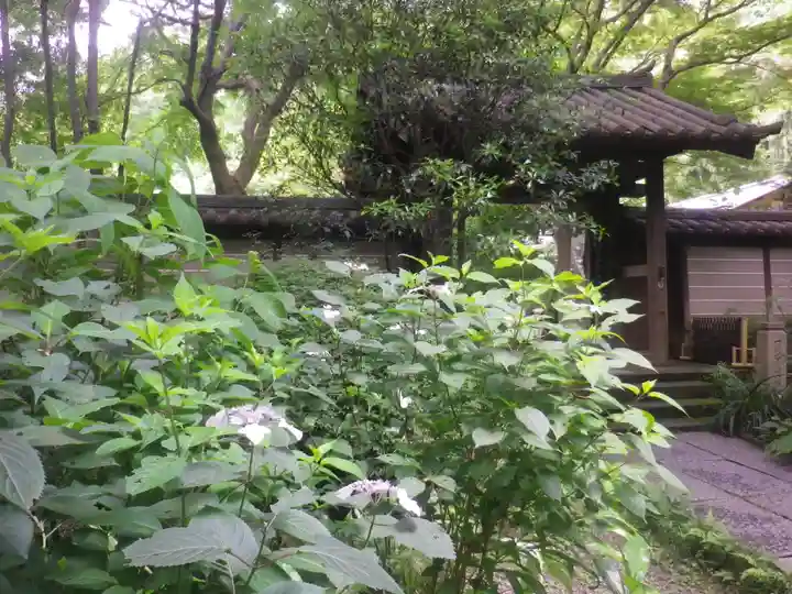 瑞泉寺のその他建物