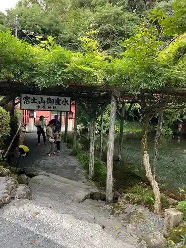 富士山本宮浅間大社(静岡県)