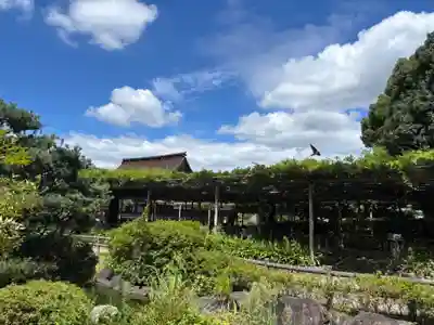 曼陀羅寺の周辺