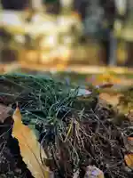 浄居寺(山梨県)