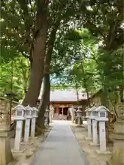 大宮・大原神社の建物その他