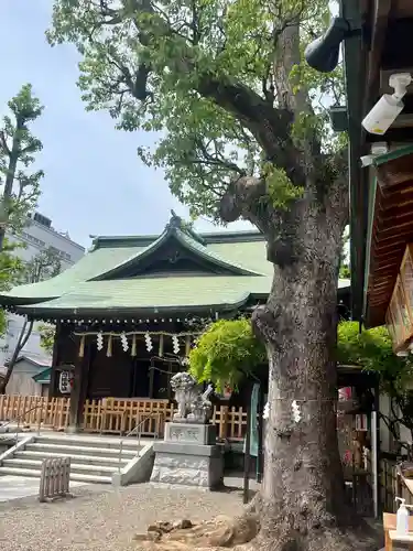 お三の宮日枝神社(神奈川県)