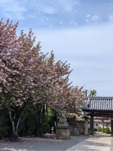 荘厳寺(東京都)