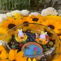 彌都加伎神社の手水舎