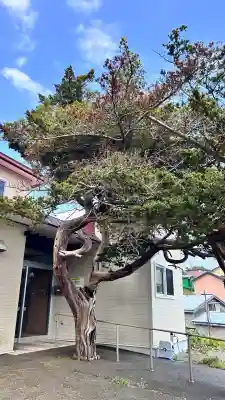石崎八幡神社(北海道)