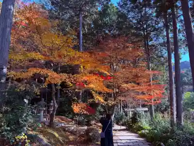 圓光寺(京都府)