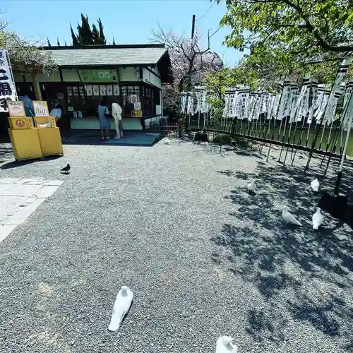 旗上弁財天社の動物