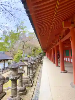 春日大社(奈良県)