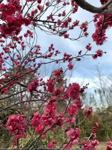 進雄神社の自然