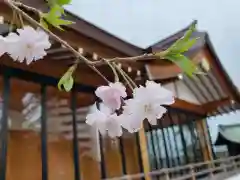 成子天神社の自然