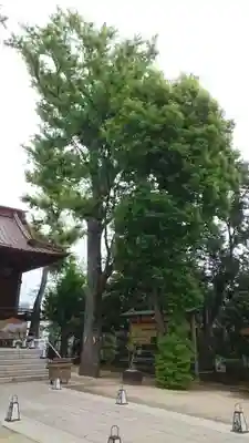 戸越八幡神社(東京都)