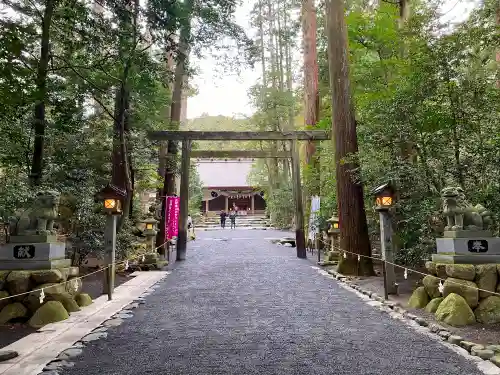 椿大神社の鳥居