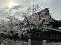 大阪天満宮の本殿