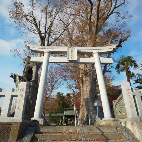 若宮八幡宮の鳥居