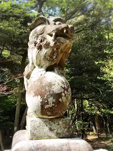 早瀧比咩神社の狛犬