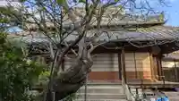 阿弥陀寺(京都府)