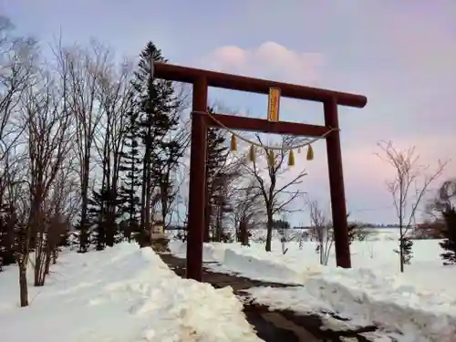 越前神社の鳥居