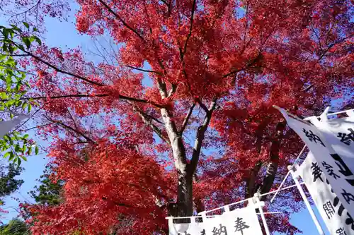 開成山大神宮の自然