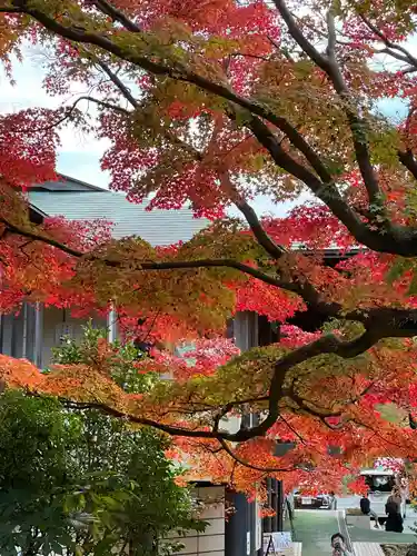 鎌倉宮の景色