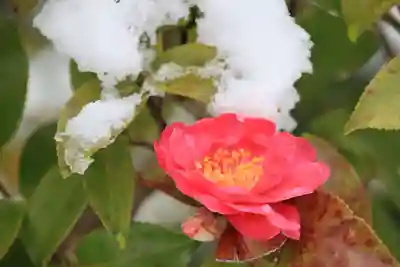 高屋敷稲荷神社の庭園