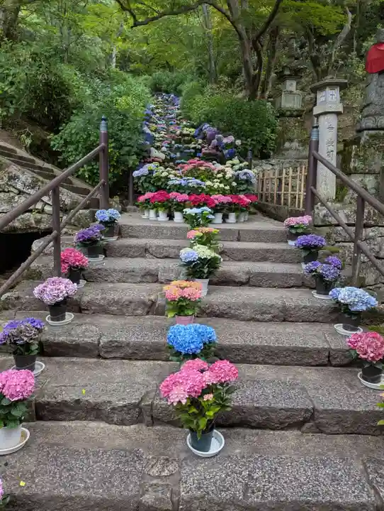 長谷寺(奈良県)