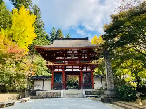 室生寺の山門